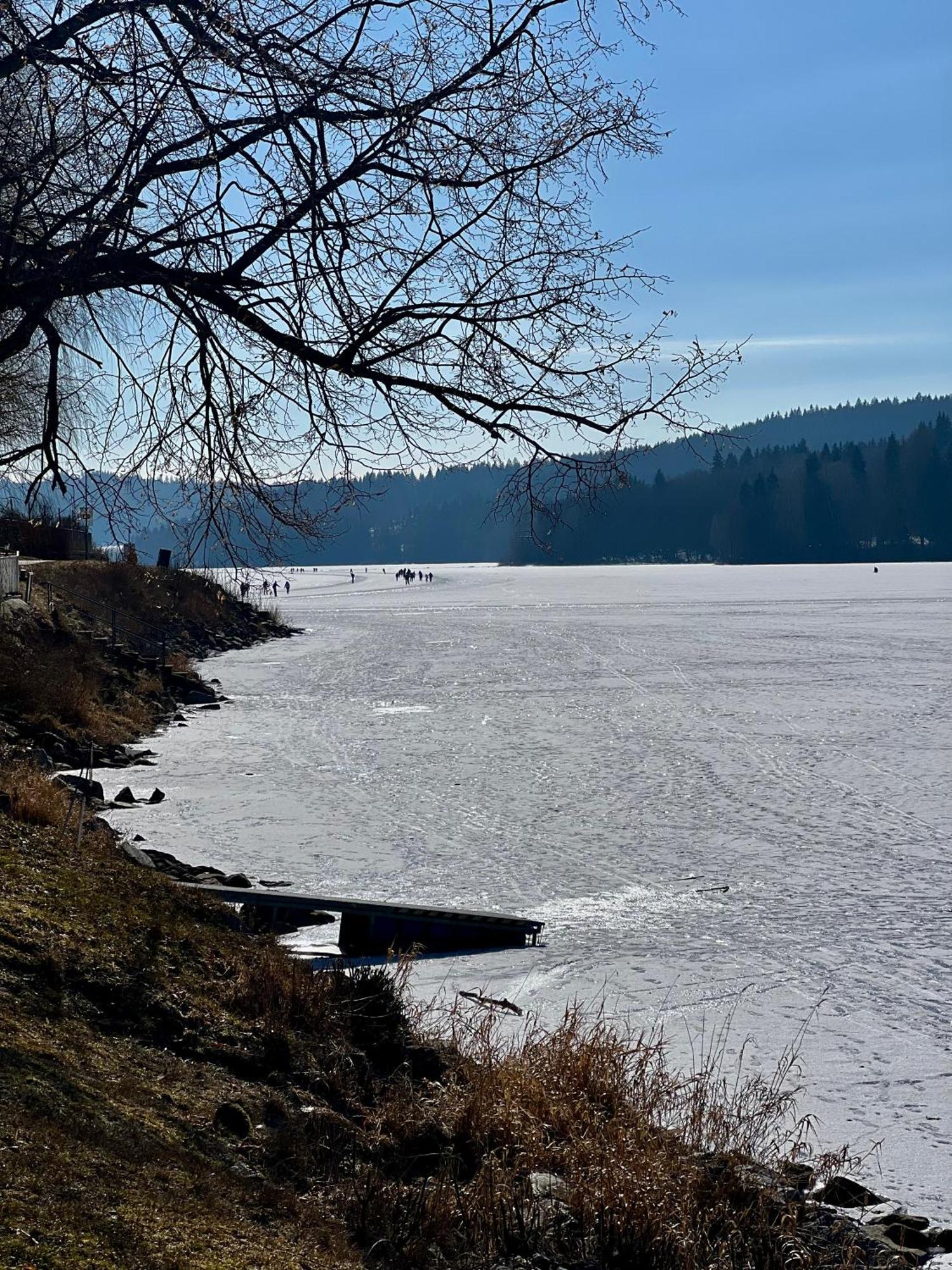 Apartmany V Ulicce Frymburk nad Vltavou Exterior foto